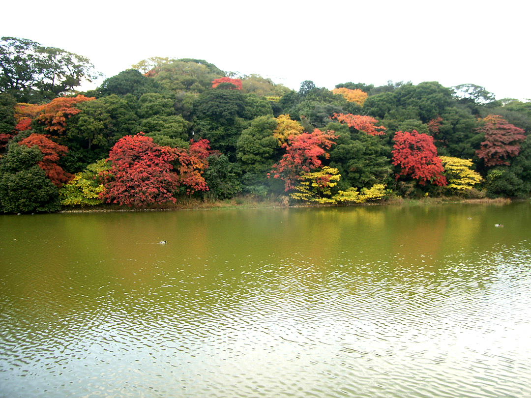 御廟山古墳